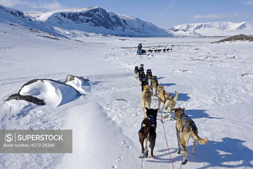 Norway, Troms, Lyngen Alps. Travel over the mountains of the Lyngen Alps via dog sled guided by veteran explorer Per Thore Hansen. (MR).