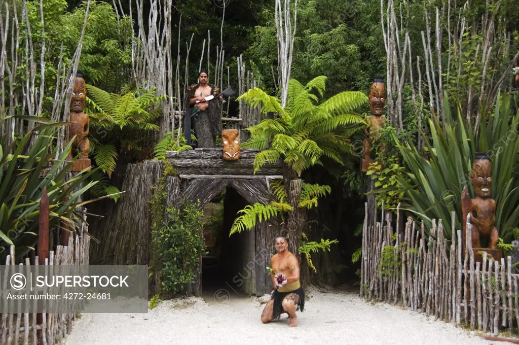 New Zealand, North Island, Rotorua. The Tamaki Experience - a welcoming ceremony is performed at a cultural show where visitors can enjoy an indepth Maori experience.