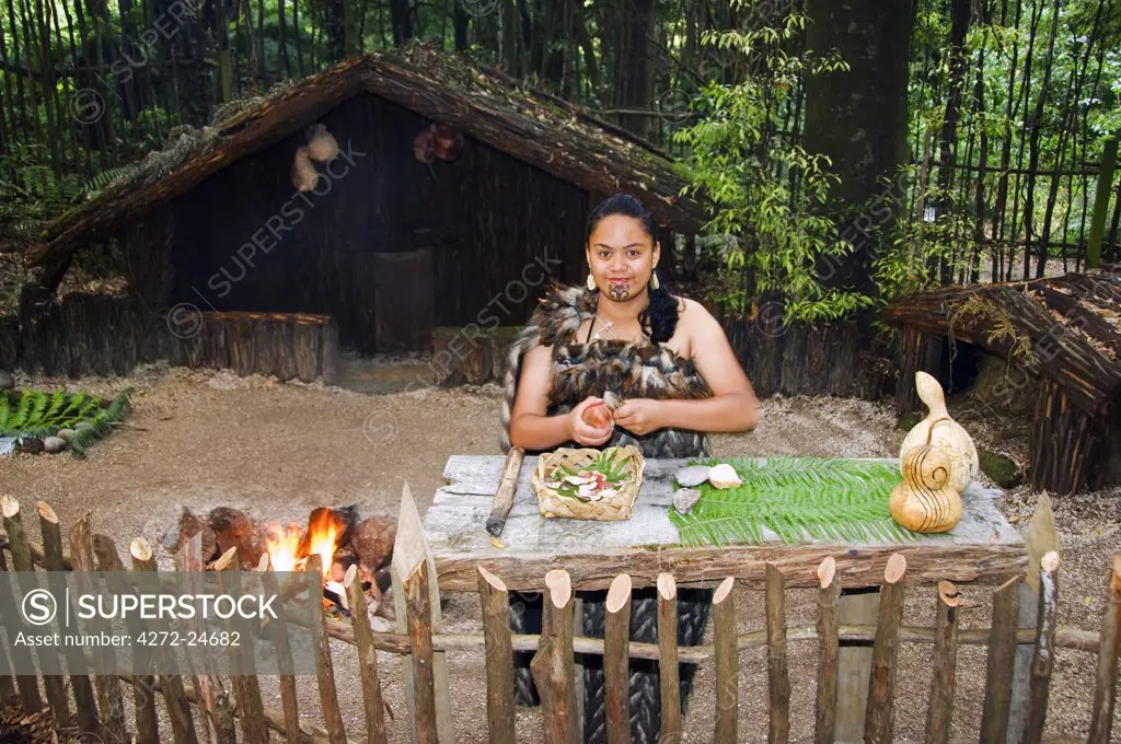 New Zealand, North Island, Rotorua. The Tamaki Experience - a welcoming ceremony is performed at a cultural show where visitors can enjoy an indepth Maori experience in a living museum.