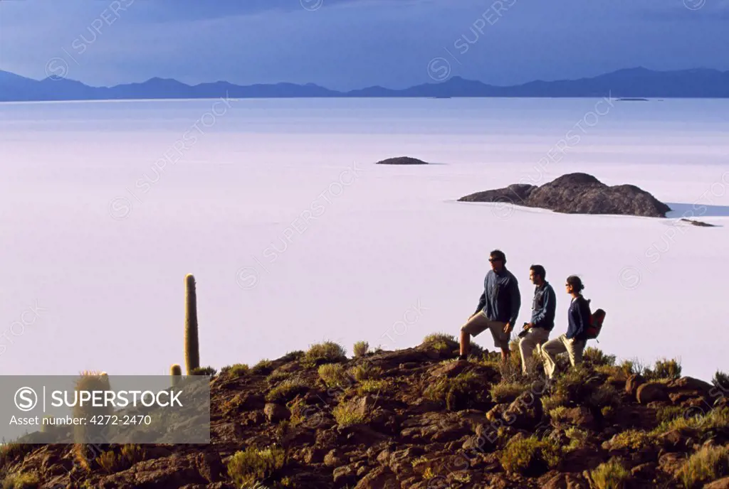 Tourists enjoy the view from the top of Isla de Pescado (Fish Island) across the Salar de Uyuni,  the largest salt flat in the world.