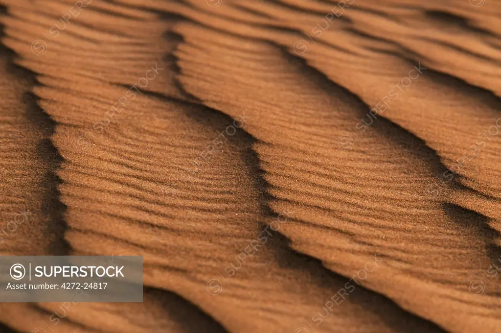 Low light and shadows highlight  ridges made by the wind in the sand dunes