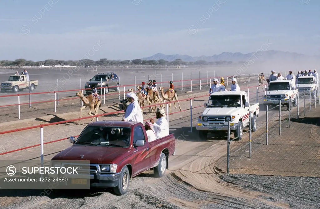Bare-footed jockeys race camels at Al Sharqiyah races.  The spectators, owners and trainers charge alongside in four wheel drive vehicles shouting encouragement and instructions.