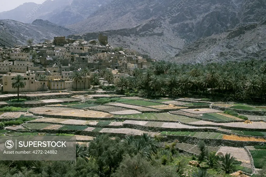 The village of Bilad Sait overlooks terraced fields and a date palmeraie in Wadi Bani Auf, a gorge running deep into the Hajar Mountains and Al Jabal al Akhdar.