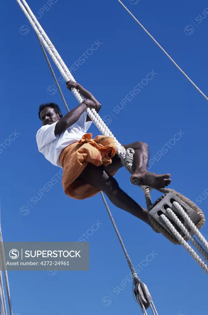 One of the crew members of S/Y Sanjeeda up the rigging.  Sanjeeda is a traditional kotiya dhow of the type that traded  throughout the Indian Ocean