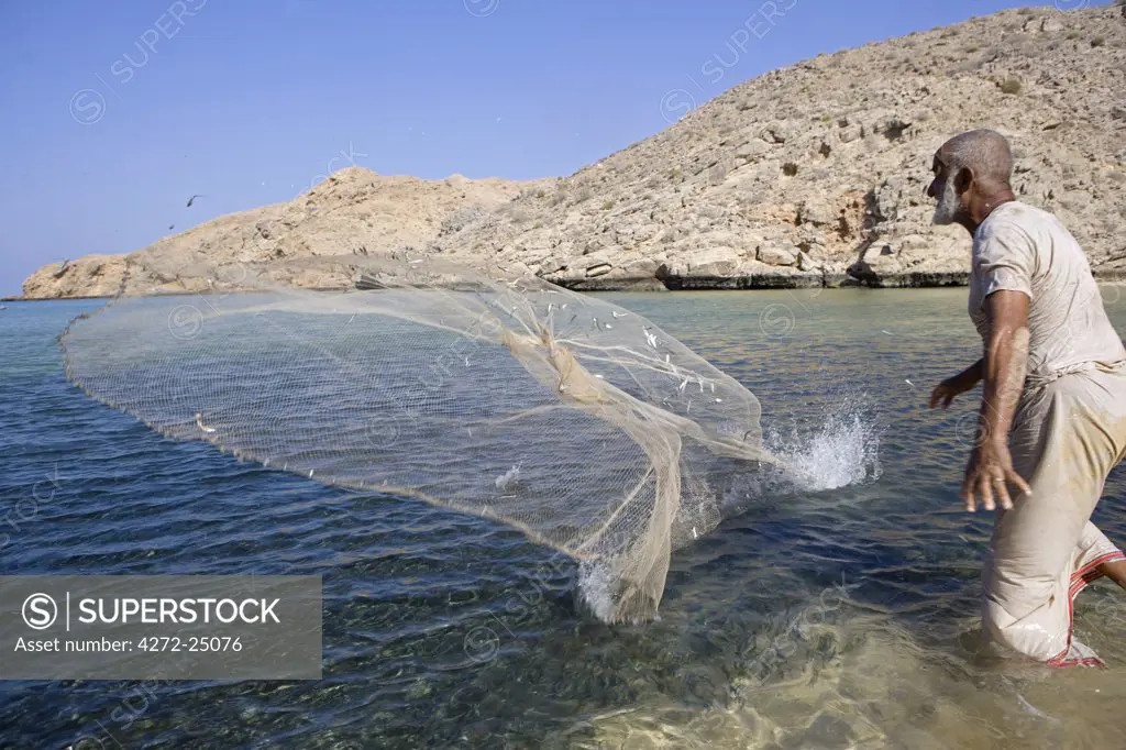 Oman, Muscat Region, Bandar Khayran. A old fisherman fishes for sardines with a traditional net from a beach on the coast near Muscat