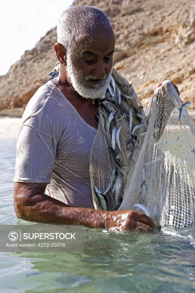 Oman, Muscat Region, Bandar Khayran. A old fisherman fishes for sardines with a traditional net from a beach on the coast near Muscat