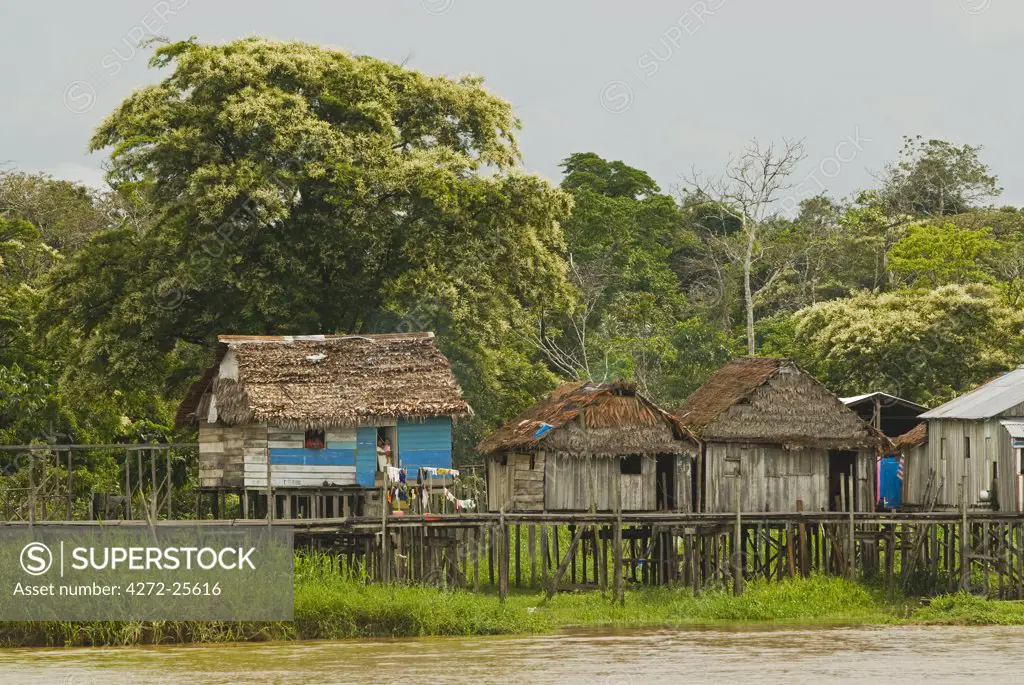 Peru, Amazon River. Traditional thatch huts built along the shore of the Amazon River.