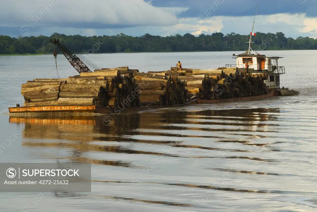 Peru, Amazon, Amazon River. Riverboat brings cut wood from the Amazon Rainforest up river to Iquitos.