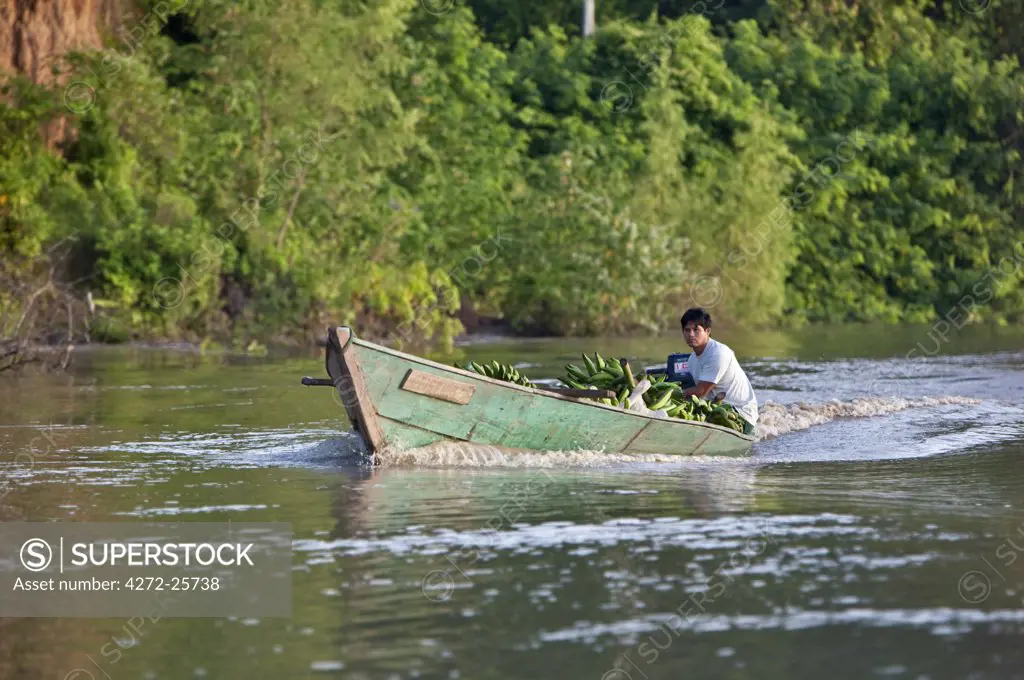 Peru. A man taking a load of bananas to market on the Madre de Dios River, a tributary of the Amazon.
