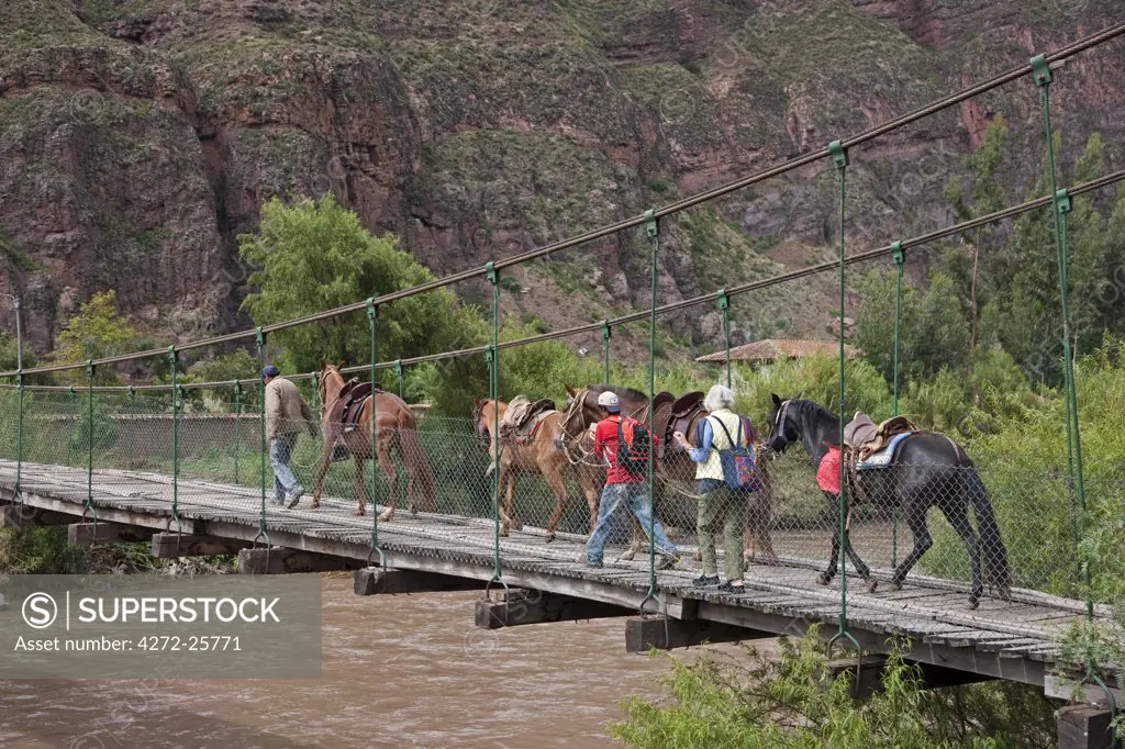 Peru. Horses being led across a bridge spanning the Urubamba River to be ridden by tourists to Moray and Maras, Sacred Valley.