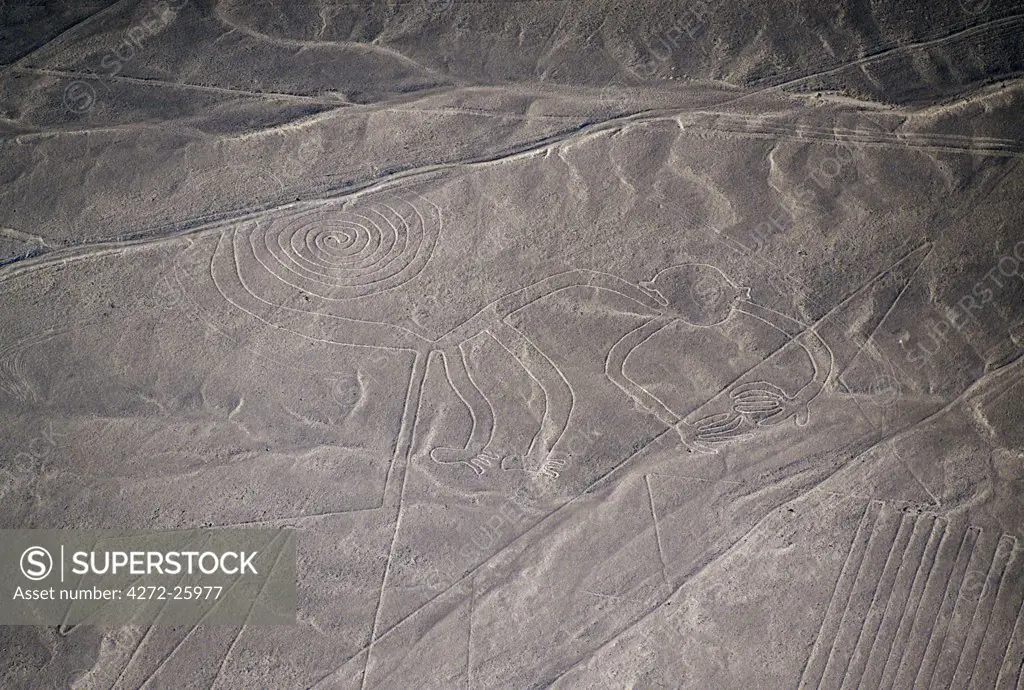 The Monkey, one of the more well known Nazca forms. Many of the designs were found on their fine weavings and pottery as well as on this desert plain. It shows that there was contact with the jungle provinces on the far side of the Andes.&#x26;#x26;#x26;#x0B;