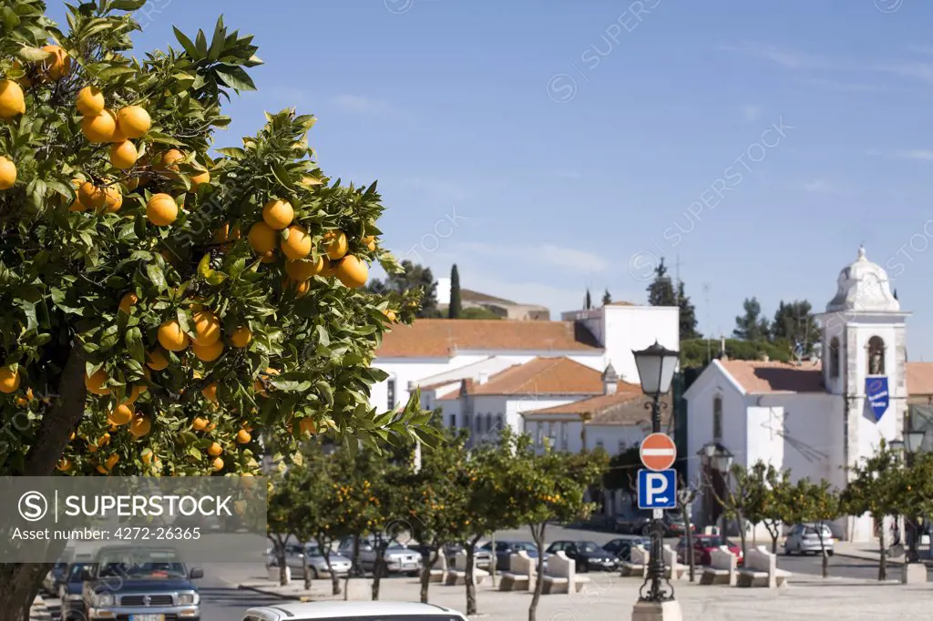 Portugal, Alentejo, Vila Vicosa. It is spring in the small town of Vila Vicosa in the Alentejo region of Portugal. An orange tree over looks the high street. The town is commonly referred to as a 'marble town'. The pavements and the road signs are made of white marble.
