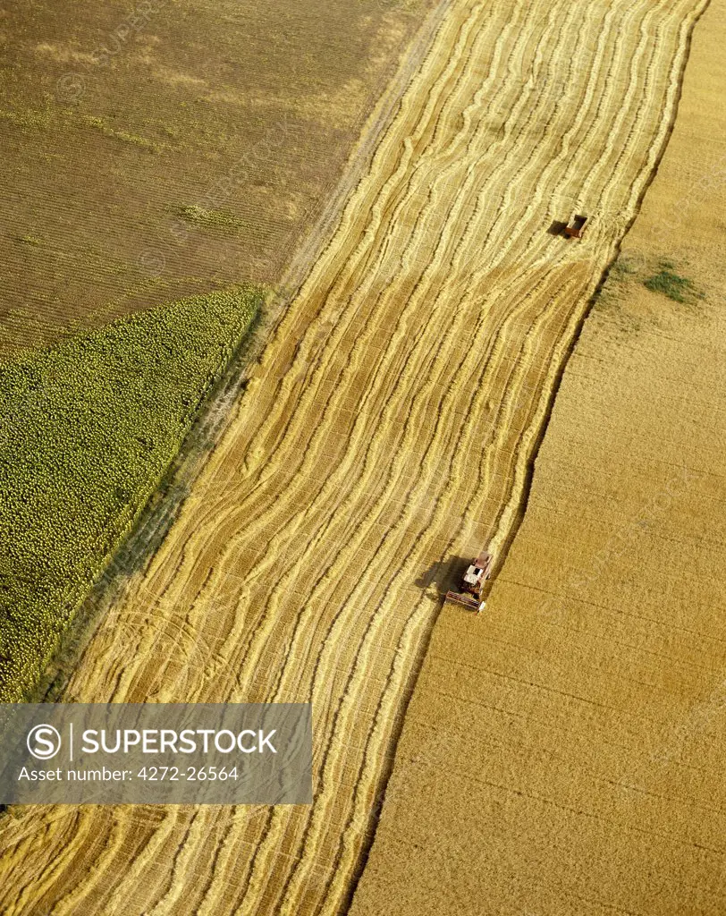 Aerial view of harvesting in Ribatejo, Portugal