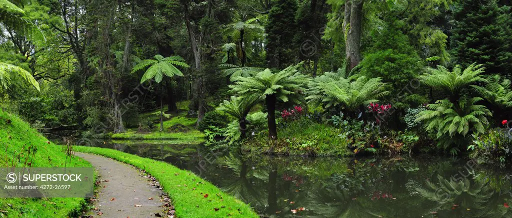 Founded in the 18th century, the Terra Nostra garden at Furnas is one of the most beautiful and exotic  gardens in the world. Sao Miguel, Azores islands, Portugal