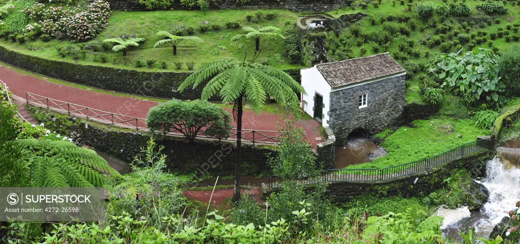Ribeira dos Caldeiroes Nature Reserve at Achada, Nordeste.  Sao Miguel, Azores islands, Portugal