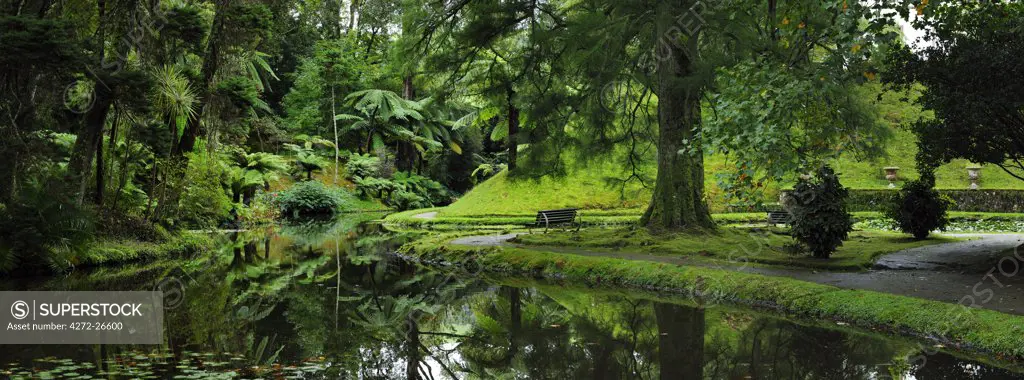 Founded in the 18th century, the Terra Nostra garden at Furnas is one of the most beautiful and exotic  gardens in the world. Sao Miguel, Azores islands, Portugal