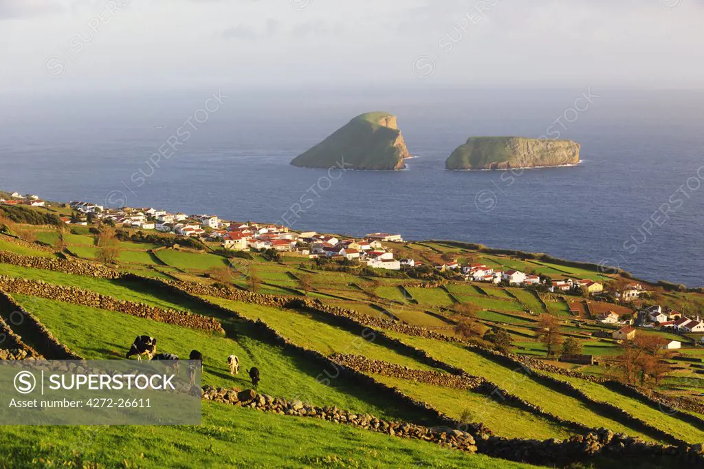 Pasture fields at Ribeirinha.In the background we can see the Ilheus das Cabras (islets). Terceira, Azores islands, Portugal