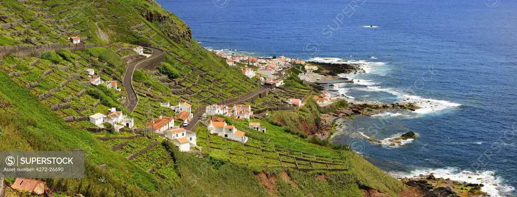 Terraced vineyards at the little town of Maia. Santa Maria, Azores islands, Portugal