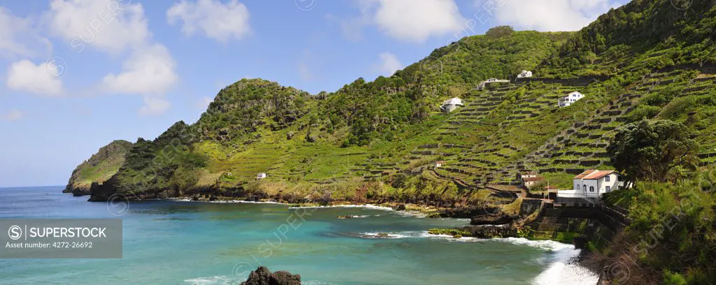 Sao Lourenco Bay with terraced vineyards by the sea. Santa Maria, Azores islands, Portugal
