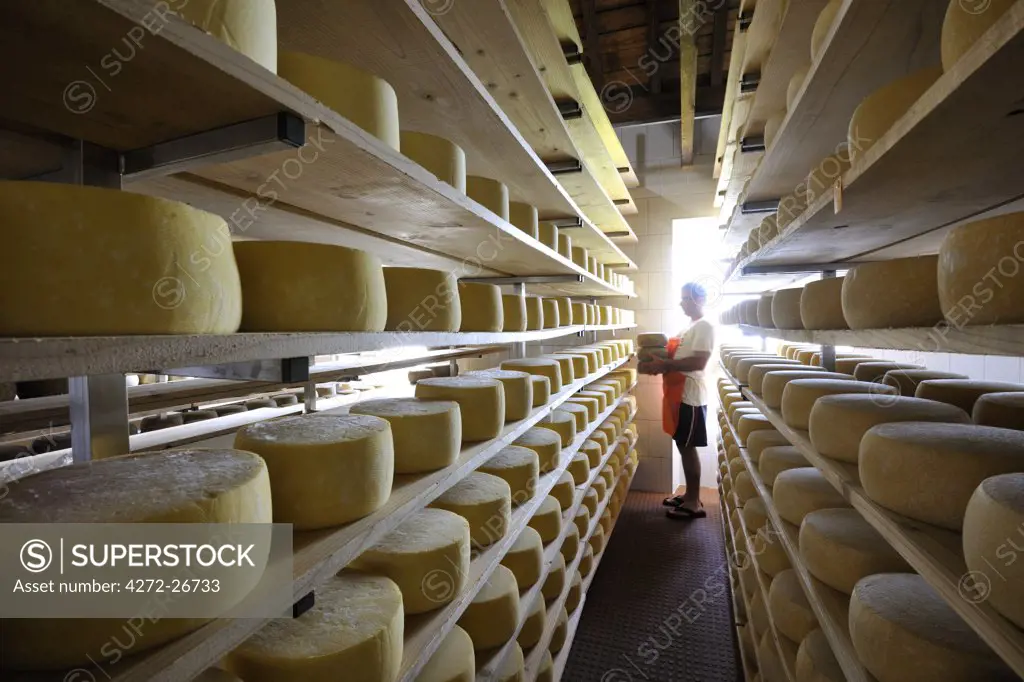 Canada, manufacturing house of the famous Sao Jorge traditional cheese, Santo Amaro, Azores islands, Portugal