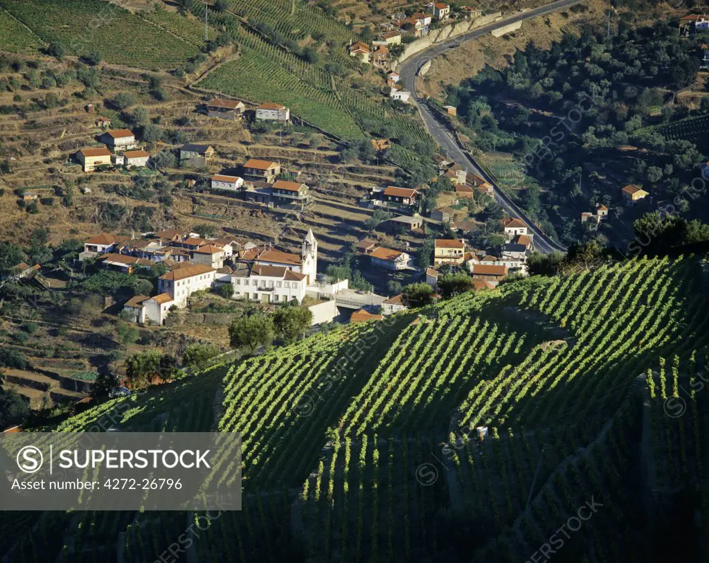 Vineyards at the Douro region, the origin of the world famous Port wine. A UNESCO World Heritage Site, Portugal