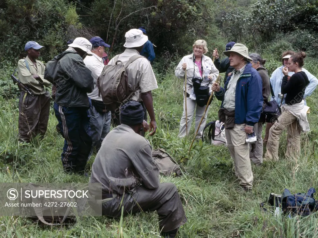 A group of tourists is briefed by parks staff of the Volcanoes National Park prior to setting out on a trail to see mountain gorillas. Eight visitors are allowed in each party and they will spend only an hour at close range of them.The beautiful montane forest ecosystem of the Virunga Volcanoes is the habitat of these rare large mammals.