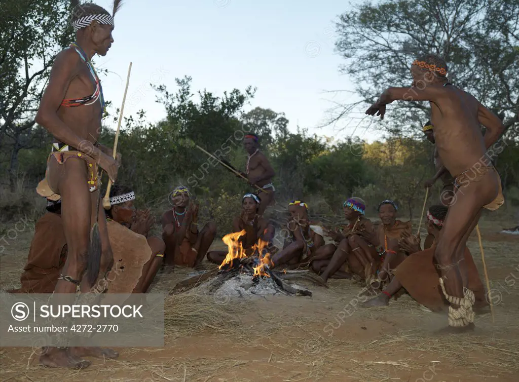 At dusk, a small band of Bushmen, or San, sing and dance round their campfire. They keep rhythm to the noise of the rattles wound round the dancers' legs. These N!!S hunter gatherers live in the Xai Xai Hills close to the Namibian border. Their traditional way of life is fast disappearing.=