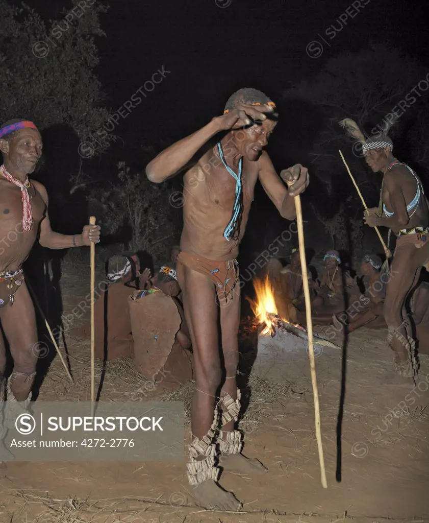 Bushmen, or San, dance during a sing-song round their campfire.  The men have rattles wound round their legs to help the rest of them keep rhythm during their dances. These N!!S hunter gatherers live in the Xai Xai Hills close to the Namibian border. Their traditional way of life is fast disappearing