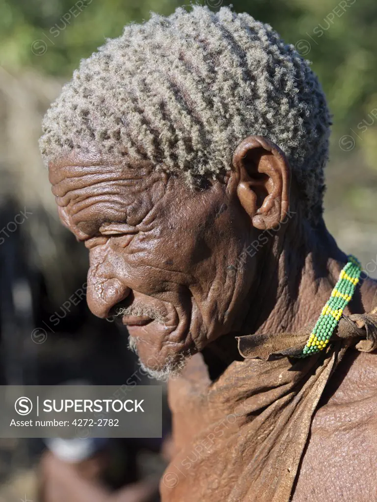 A wizened old man of the NS band of hunter gatherers.  The NS are a part of the San people, often referred to as Bushmen. They differ in appearance from the rest of black Africa having yellowish skin and being lightly boned, lean and muscular. The NS live in the harsh environment of a vast expanse of flat sand and bush scrub country straddling the Namibia Botswana border.