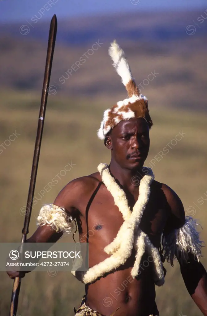 Zulu warrior in traditional dress with fighting spear