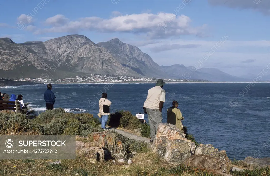 Whale watchers on the lookout for Southern Right whales in Hermanus Bay