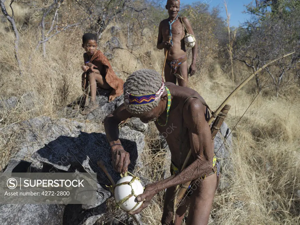 A NS hunter gatherer fills his blown ostrich egg with rainwater using a hollow reed. The NS live in the harsh environment of a vast expanse of flat sand and bush scrub country straddling the Namibia Botswana border.
