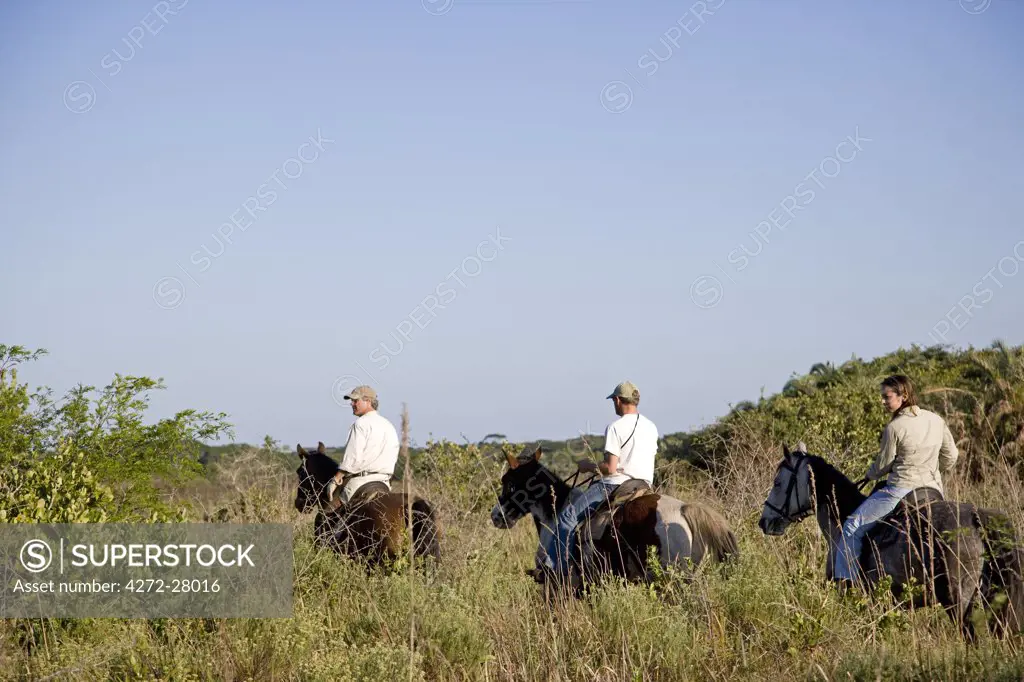 Horse riding in the Greater St Lucia Wetlands Park, South Africa. The park has recently been renamed the iSimangaliso Wetland Park.