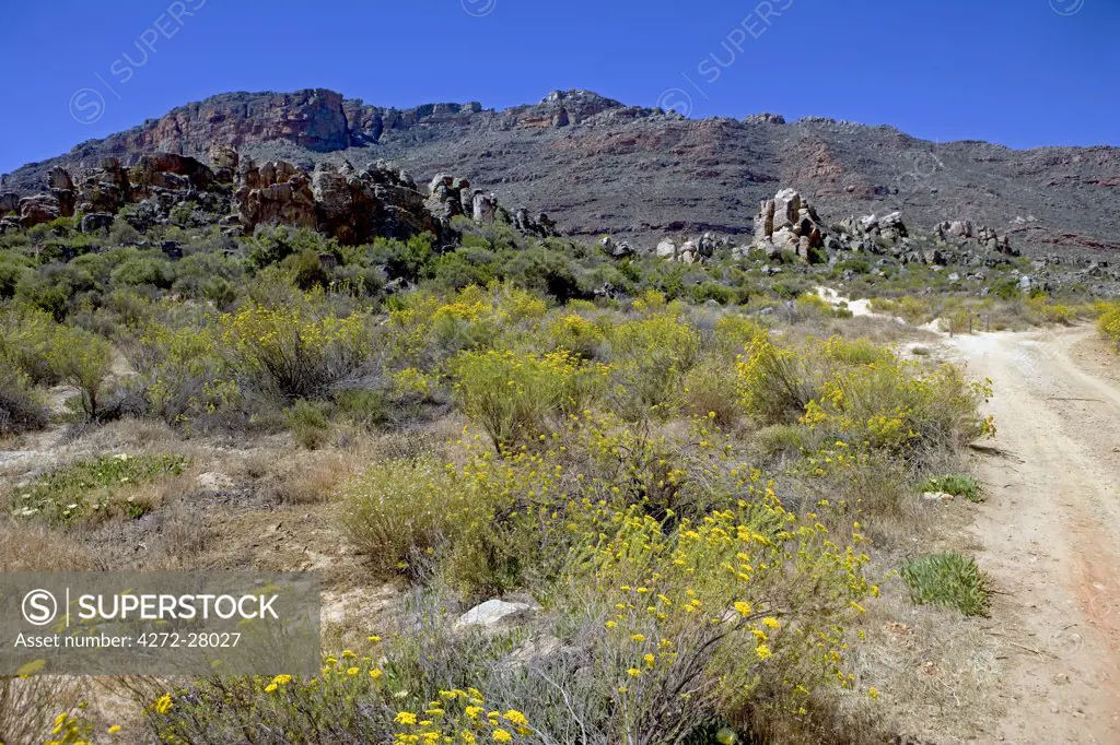 South Africa, Western Cape, Cederberg Conservancy.  Cederberg, home to the famous vineyard is the hub for a number of the best hiking trails that criss cross the conservancy.