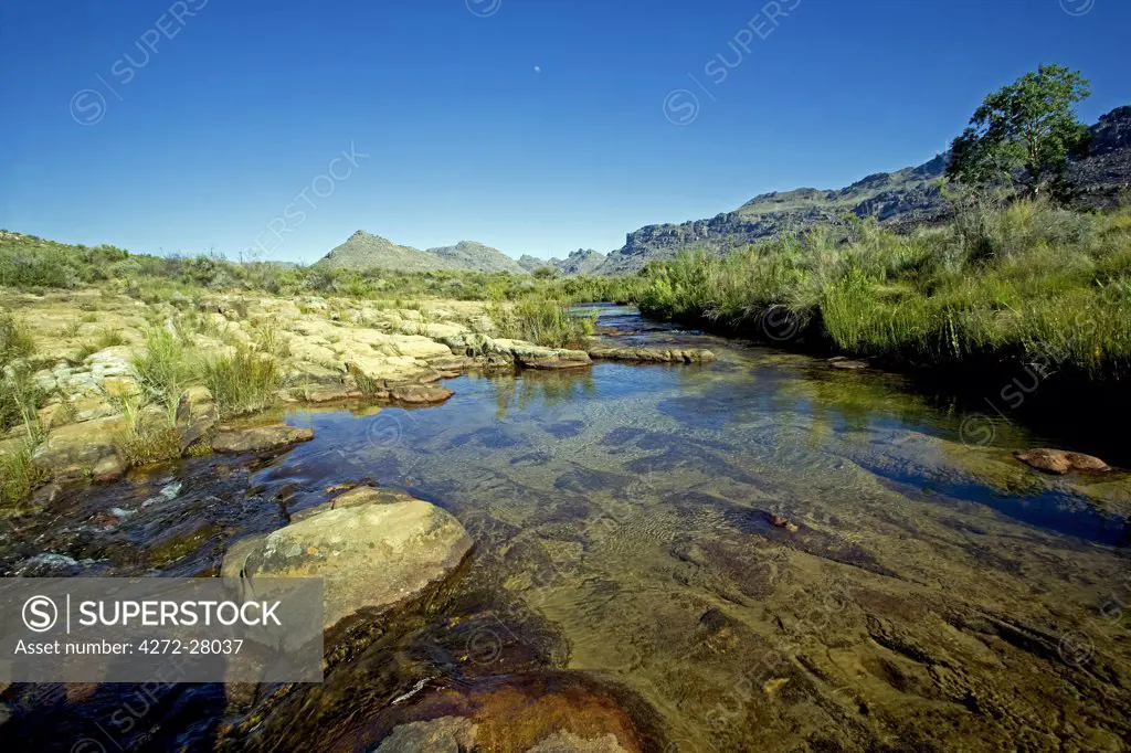 South Africa, Western Cape, Cederberg Conservancy.  The altitude of the Conservancy gives the area, at times, an almost alpine climate with winter snows and all year round water in the bigger streams and rivers.