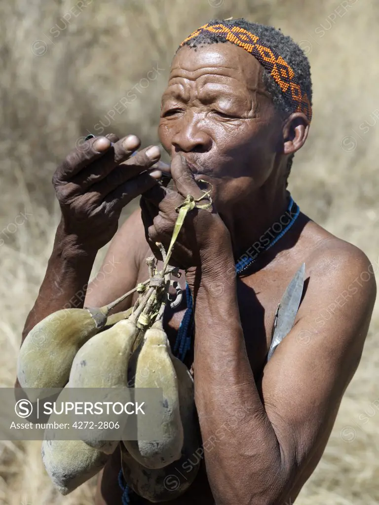 A NS hunte gatherer lights his pipe to relax having collected several baobab fruits, which he will use as food. The pith surrounding the seeds can be made into an appetising drink.  The NS live in the harsh environment of a vast expanse of flat sand and bush scrub country straddling the Namibia Botswana border.