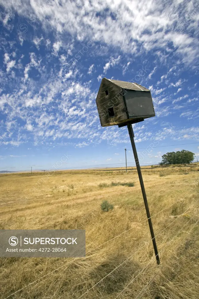 South Africa, Western Cape, Swartland, Darling.  An abandoned bird box leaning lazily to one side on farmland near the small town of Darling.