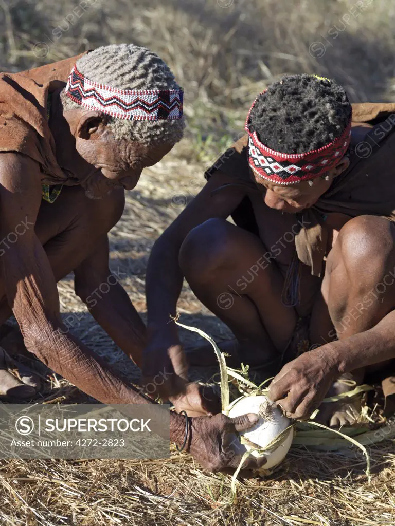 Two NS hunte gatherers make a bark carrier for an ostrich egg, which will be used as a water container. The NS live in the harsh environment of a vast expanse of flat sand and bush scrub country straddling the Namibia Botswana border.
