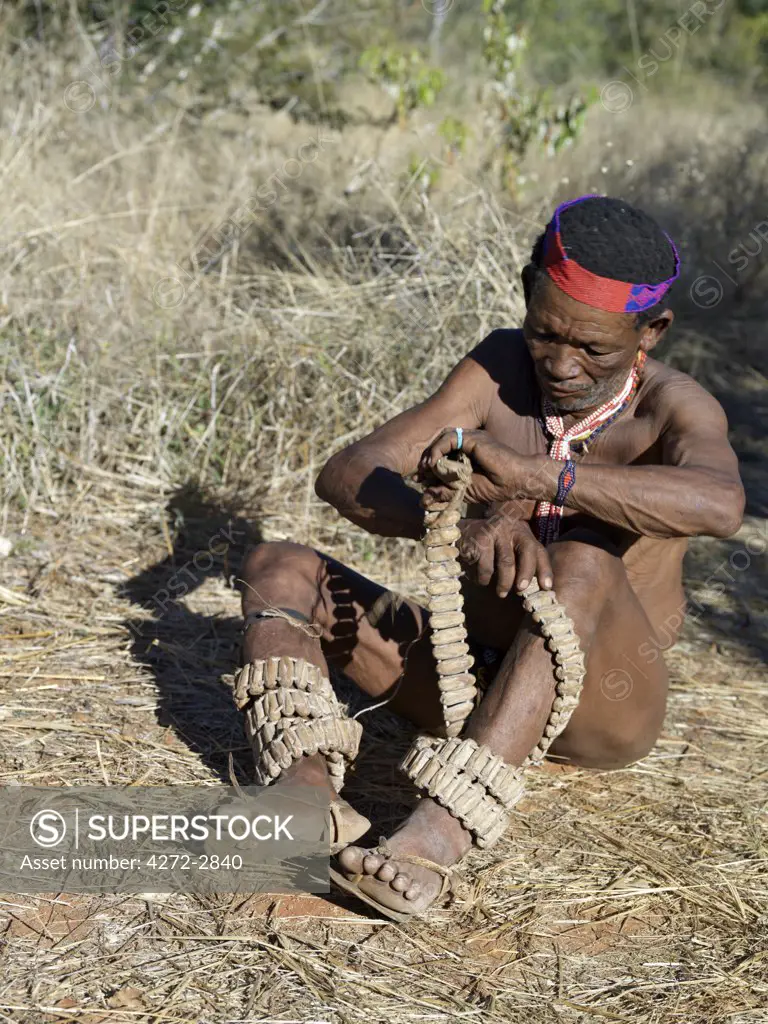 A NS hunter gatherer winds strings of rattles round his legs in preparation for a dance. These rattles are made from specially dried cocoons in which are placed tiny chips of stone.  The NS live in the harsh environment of a vast expanse of flat sand and bush scrub country straddling the Namibia Botswana border.
