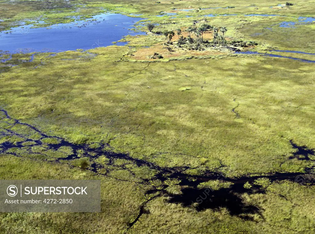 An aerial photograph of the Okavango Delta.