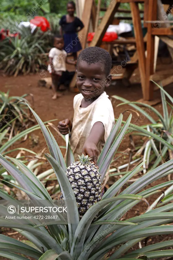 A young Sao Tomense boy shows us the pineapple growing at the front of his house. Sao Tom_ and Princip_ is Africa's second smallest country with a population of 193 000. It consists of two mountainous islands in the Gulf of New Guinea, straddling the equator, west of Gabon.
