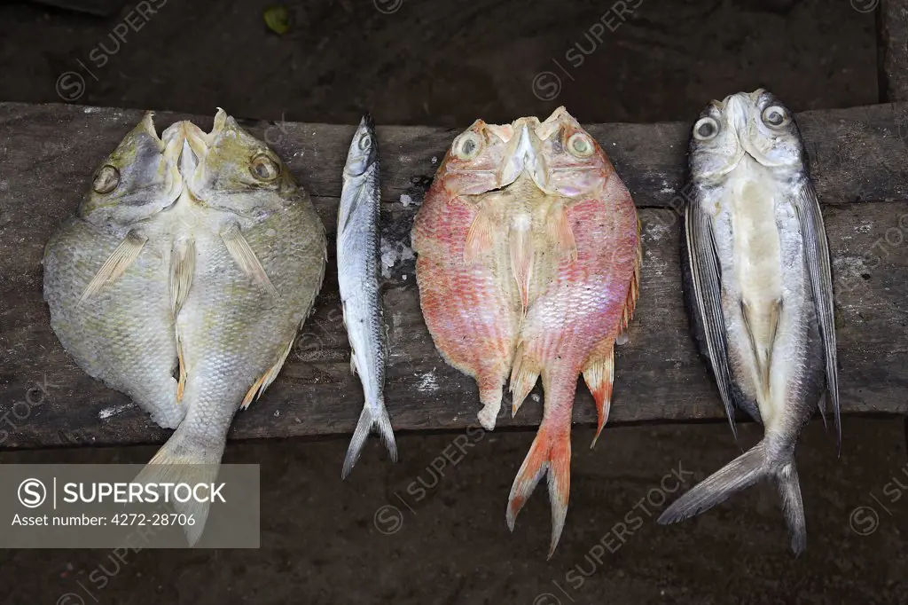 A typical catch from a fishing boat in Princip_. (L-R) Garoupa, Sardine, red fish, Flying fish. Sao Tom_ and Princip_ is Africa's second smallest country with a population of 193 000. It consists of two mountainous islands in the Gulf of New Guinea, straddling the equator, west of Gabon. Princip_ is the smaller of the two islands with a population of around 5000.