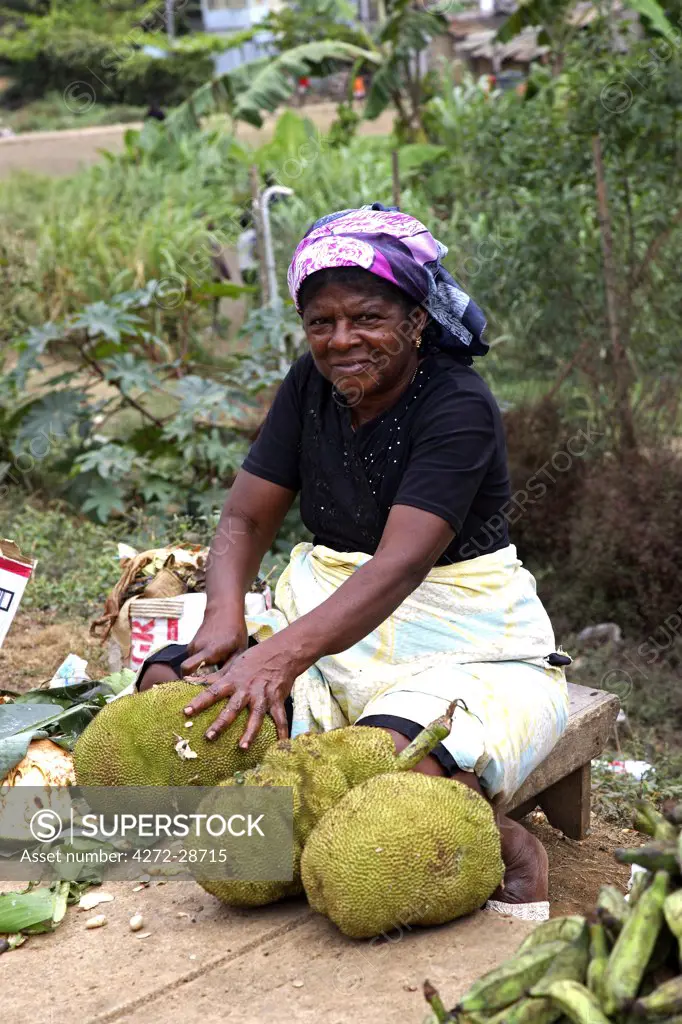A Sao Tomense lady sells a fruit called Jaca, on the road side in Sao Tome. The fruit was originally from Brazil. It weighs on average between 3 to 5 kilos. It requires a distinct process to eat it. It is full of seeds the size of nuts that must removed aswell as a very sticky gum.  The fruit is sweek and yellow and very tender.