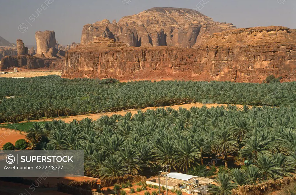 Saudi Arabia, Madinah, Al-Ula. Date plantations lie amidst picturesque scenery in the oasis surrounding Al-Ula.