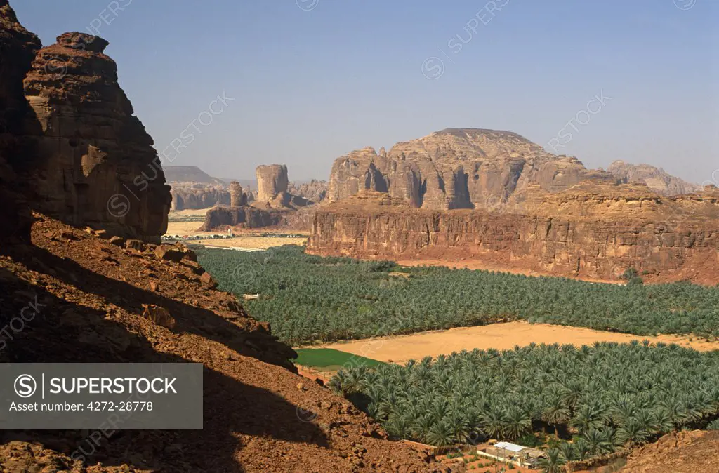 Saudi Arabia, Madinah, Al-Ula. Date plantations lie amidst picturesque scenery in the oasis surrounding Al-Ula.
