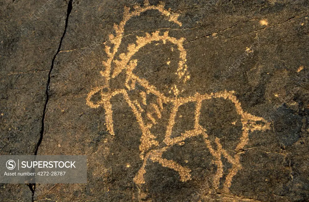 Saudi Arabia, Najran, Bir Hima. One of the country's most important rock art sites is remote Bir Hima where hundreds of petroglyphs have been incised in cliffs and overhangs.
