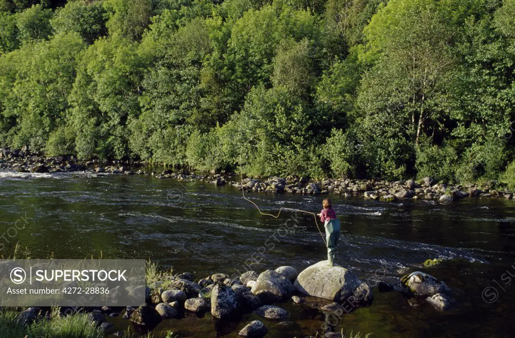 Fly fishing for salmon on River Awe