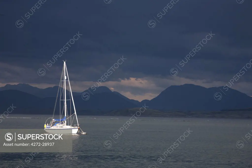 Scotland, Isle of Mull. Sunlit yacht in the Sound of Mull against a dramtic stormy sky.