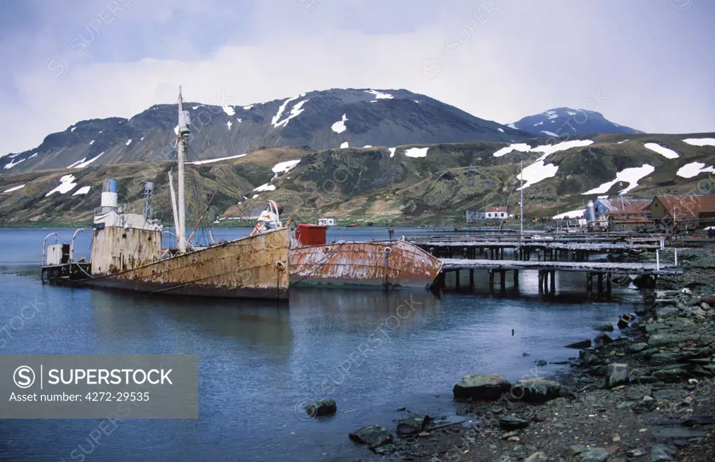 Partly sunken whale-catchers in front of abandoned whaling station.