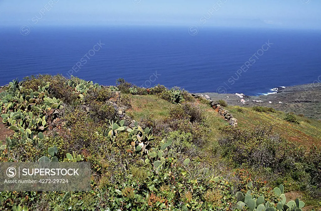 The view down cactuses, wild shrubs and steep hillsides to the sea from the vilage of Mocanal